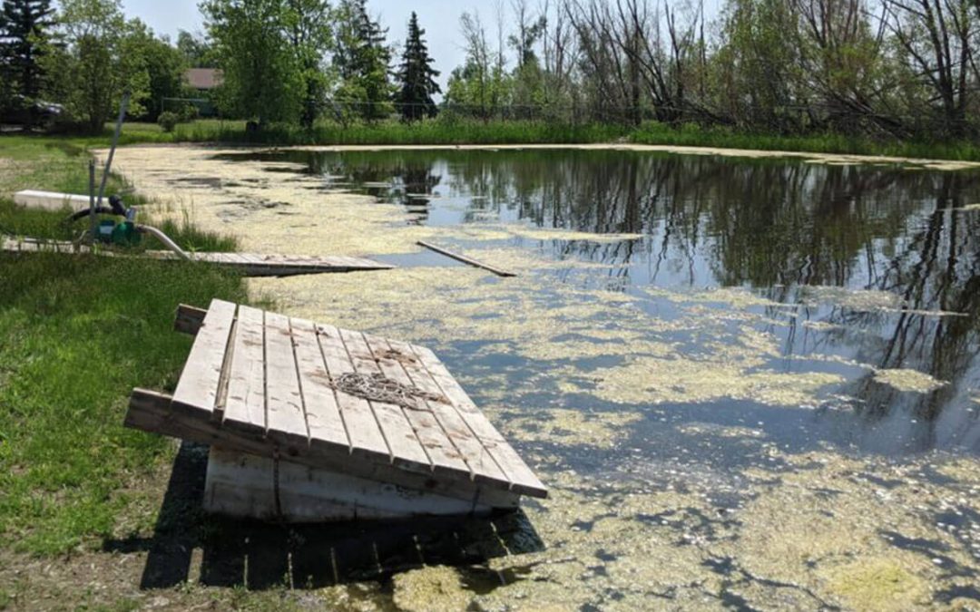 Do You Manage a Pond or Lake That Could Look and Smell Better?