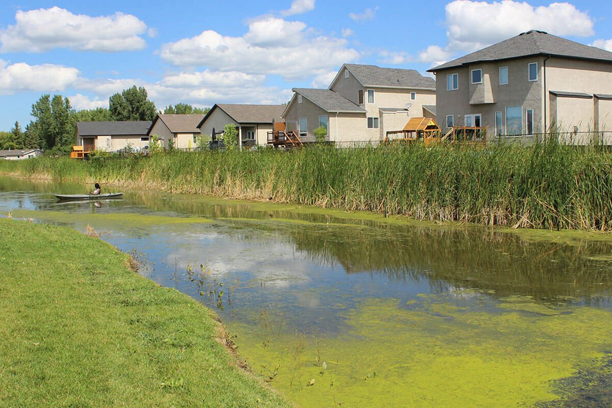 Health Risks Associated with Stagnant Water - Clean Water Pro