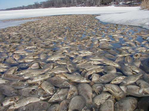 fishkill (002)