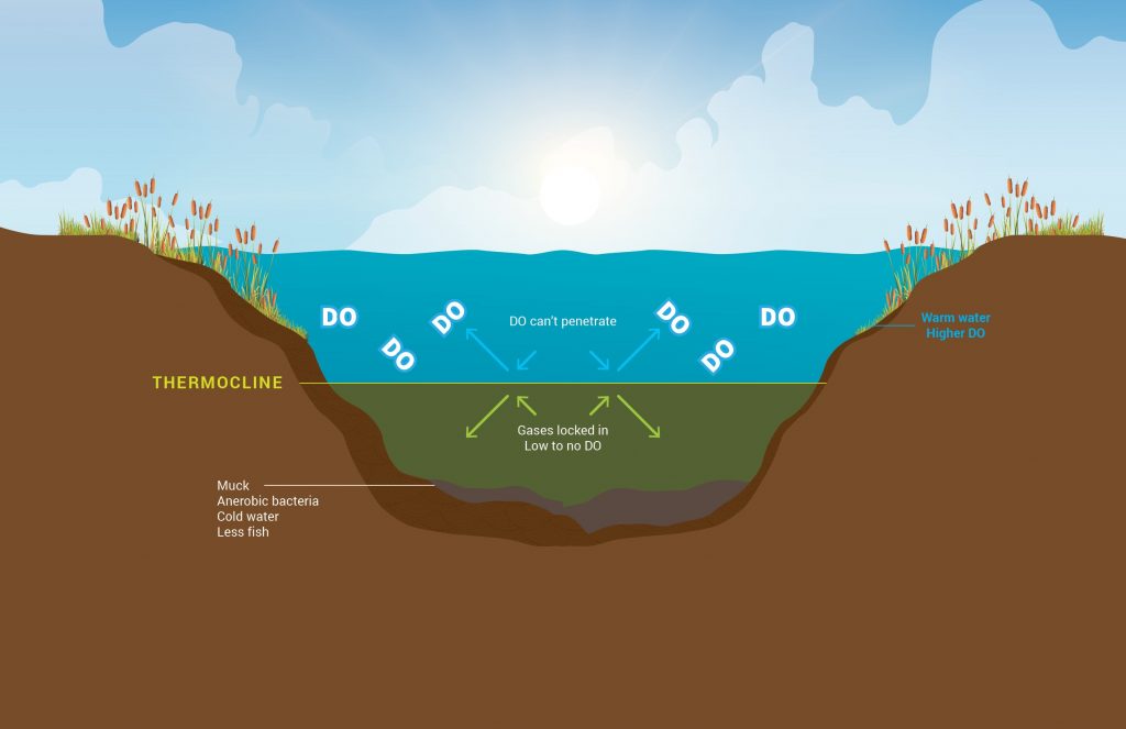 thermocline-diagram-body-1