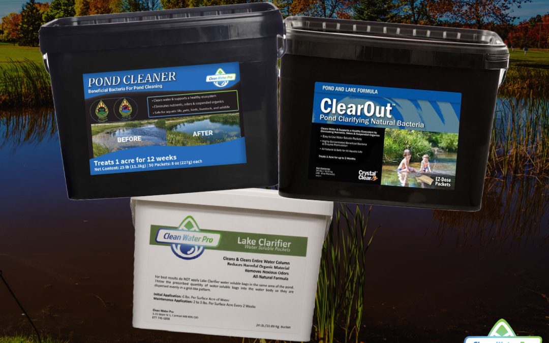 Beneficial Bacteria Pond Treatments: What’s the Difference Between Brands?